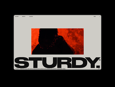 STURDY.CO HOME design gif grid hero home motion portfolio typography ui website