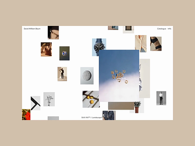 David William Baum, Info design editorial fashion grid motion portfolio typography ui