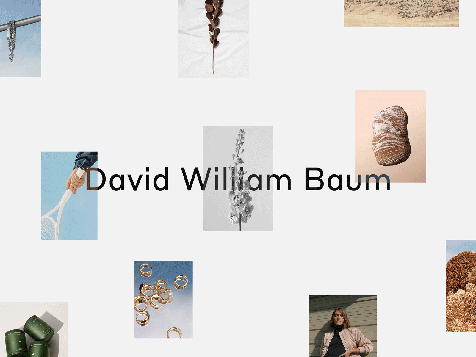 David William Baum, Behance Case