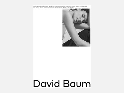 David William Baum, Poster