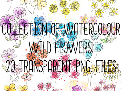 A Collection of Watercolour Wildflowers