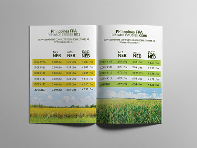 Brochure Agriculture Statistics a4 agriculture booklet brand brochure design icon minimal mockup typography ui ux vector web