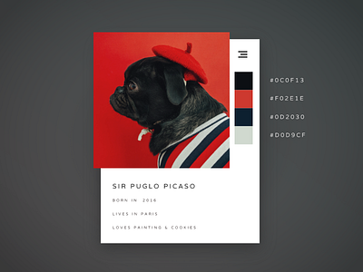 Info card with a color pallette app appdesign box card carddesign color color palette design dog pallette red ui uidesign