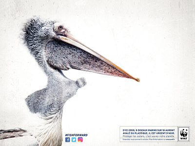 WWF - Ad campaign advertising bird nature ocean pollution wwf