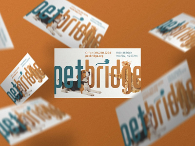 PetBridge Business Cards baseline creative beagle business cards cat pet shelter petbridge puppy shelter software