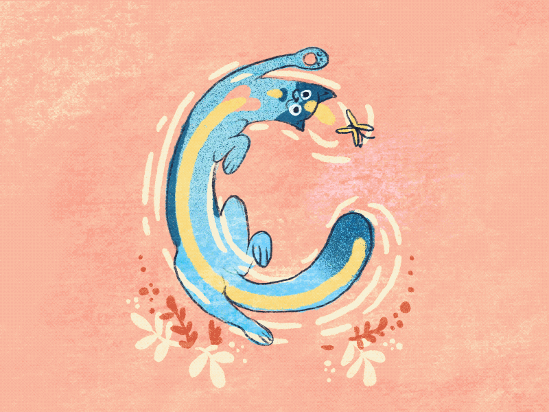 Cat for C - animal alphabet 36daysoftype07 animation cat cat animation character design editorial illustration gif animation illustration kidlitart loop animation procreate procreate animation