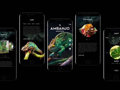 Ambanjo Adoptions Website Design adoption animals branding chameleons desktop html interactive design lizards mobile ui design ux design webpage website