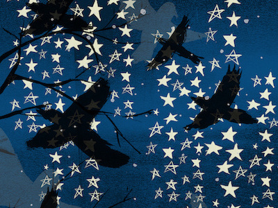 Night Birds Pattern