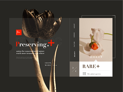 The Best Conservation Of Nature art article categories concept conservation design flower nature simple typography ui ux web 优雅 排版 简洁 网页 设计