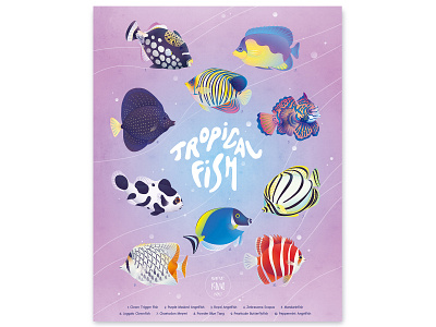 TROPICAL FISH design digital illustration fish illustration sea vector