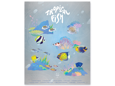 TROPICAL FISH