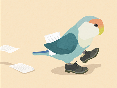 Lovebird illustration