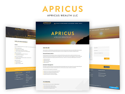 Apricus Wealth LLC- Website Design health website webpage website website concept