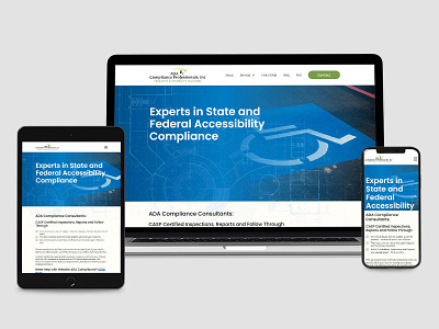 ADA Compliance Professionals INC branding webdesign website design