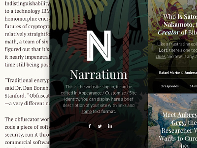 Narratium WP Theme clean minimal simple theme wordpress writers