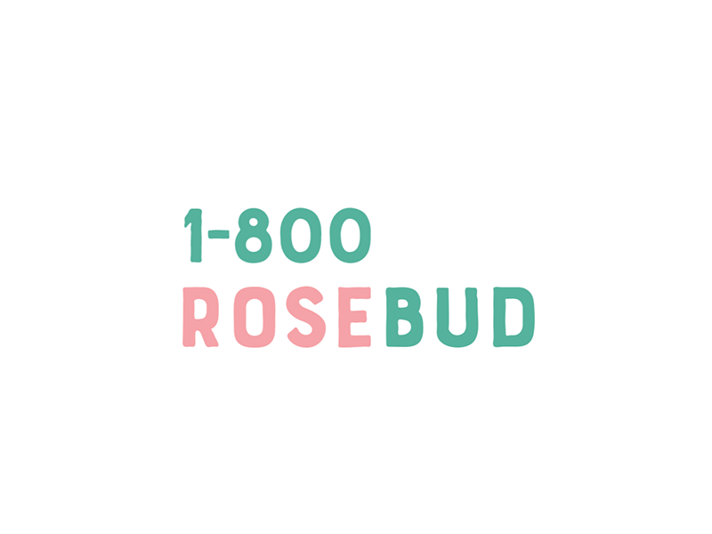 Rosebud by Thomas Boussy on Dribbble