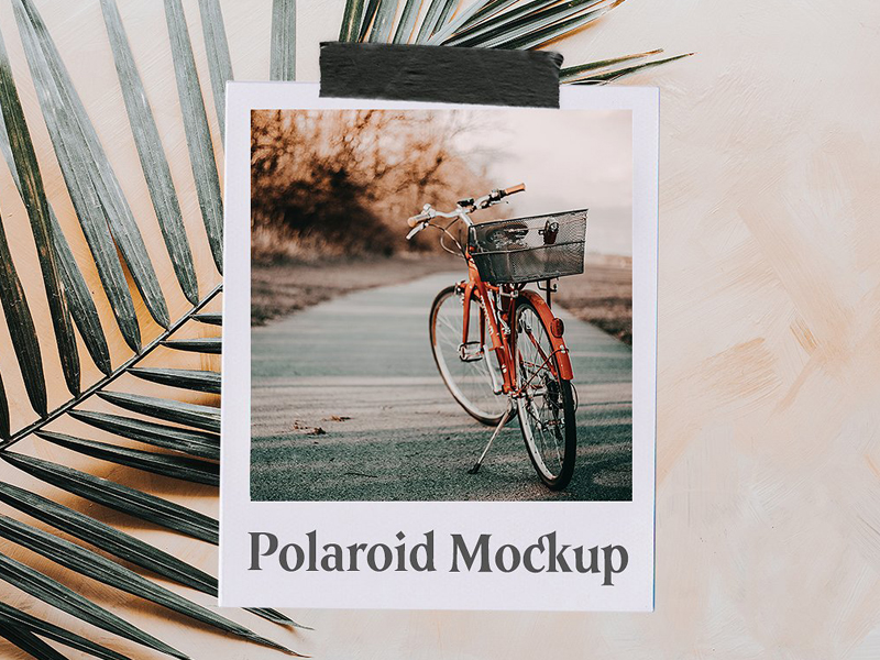 Download Polaroid Mockup by Social Media Templates on Dribbble