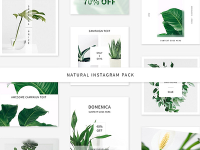 Natural Instagram Pack blogger clean elegant green instagram instagram pack instagram stories instagram template modern natural natural instagram pack pack posts simple social media social media pack social media templates stories template templates