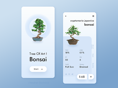 Bonsai Shop