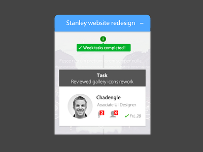 Project Manager Board experiment icon interface project ui ux