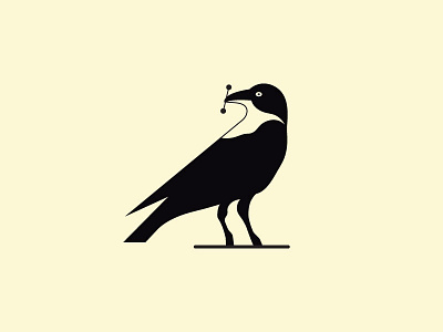 Black Bird bird bird logo bird technology black bird branding creative crow design digital graphic icon illustration internet logo logodesign logos logotype nature techno bird technology
