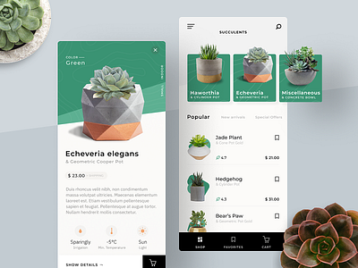 Plant Store App app cards figma interface plant shop ui
