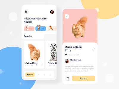 Pets Adoption UI 🐹 2020 adoption animals animals ui app app design colorful app dashboard designer dog dog app pet care pets trand ui uidesign uiux web