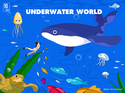 underwater world 插图