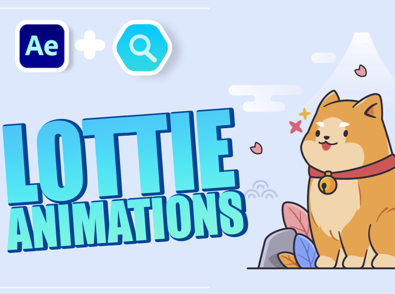 Lottie Animations By Nijat Ibrahimli On Dribbble