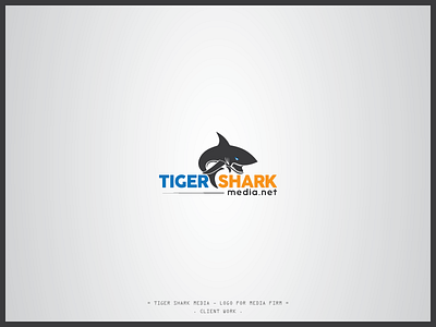 Tiger Shark Media brand identity branding graphics illustration logo media shark tiger