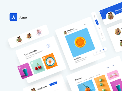 Aster app branding colors design flat flat design icon minimal photo slider typography ui uidesign vector webdesign website