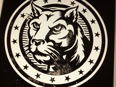 Cougar Nation art athletics branding castle charleston cougar cougar nation derrick derrick castle design graphic design