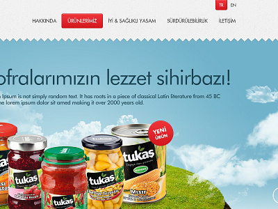Tukas Web reDesing Home clean clouds food interface istanbul logo main psd psd download template web website