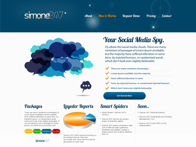 Simone Social Monitoring Services art direction icon logotype typography web design