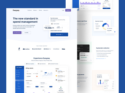 Finance Website Design - Easypay.