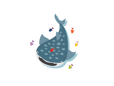 Whale Shark card illustration post project shark whale