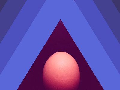 The egg