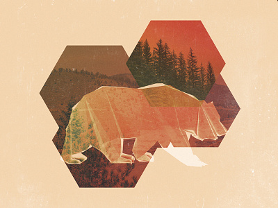 POLYBEAR art bear blending modes california filmic geometric grain graphic grizzly low poly mountains nature oragami paper polygon retro trees vintage warm wildlife woods