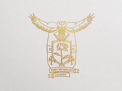 Blazon alexandra miracle blazon branding crusaders design eagle illustration knight la lat logo logotype owl vector