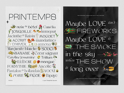 Le Printemps ✨ black design flowers illustration insects luxury poems spring typography vietnam yellow