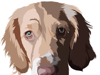 Shal cartoon dog art illustration portrait art vector