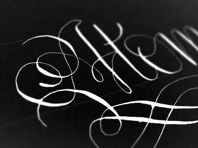 Learning scripts calligraphy free hand lettering pen pointed script