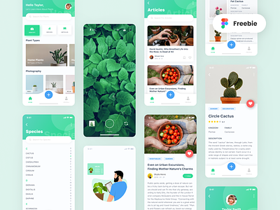 Plant App | UI Design & Illustration Freebie