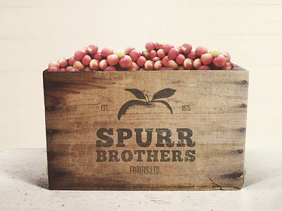 Spurr Brothers Apple Box
