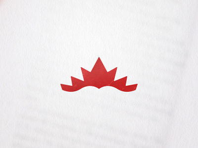 Canadian Education book canada design education logo maple leaf