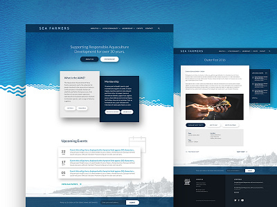 Sea Farmers events ocean sea texture ui ux water web design