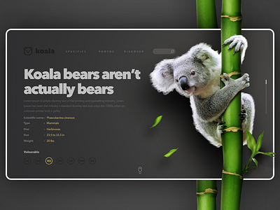 Koala Page behance clean creative design designinspiration desktop interface koala minimalism simplicity socialmedia ui uitrends userexperience ux uxdesign web webdesign