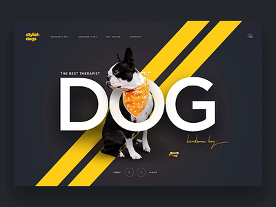 Stylish dog behance css dailyui design dog dribbble handsome homepage landingpage ui uidesign uitrends ux yellow