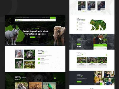 Charity For Wild Animal animal branding charity clean creative app endearment figma ui ux