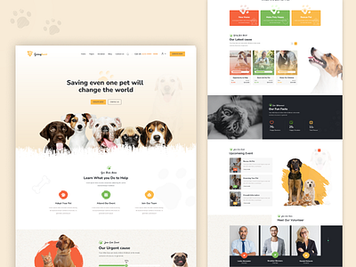 Animals and Shelter Charity figma shelter ui ux